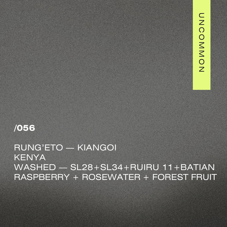 A Matter of Concrete - /056 KENYA — RUNG’ETO KIANGOI