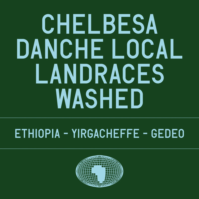 Datura Coffee - Chelbesa Danche Local Landraces Washed | Ethiopia