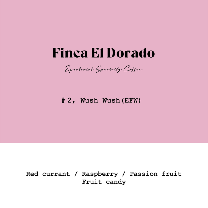 Goût & Co - El Dorado Wush Wush Lot2 Extra Fermented Washed | Ecuador