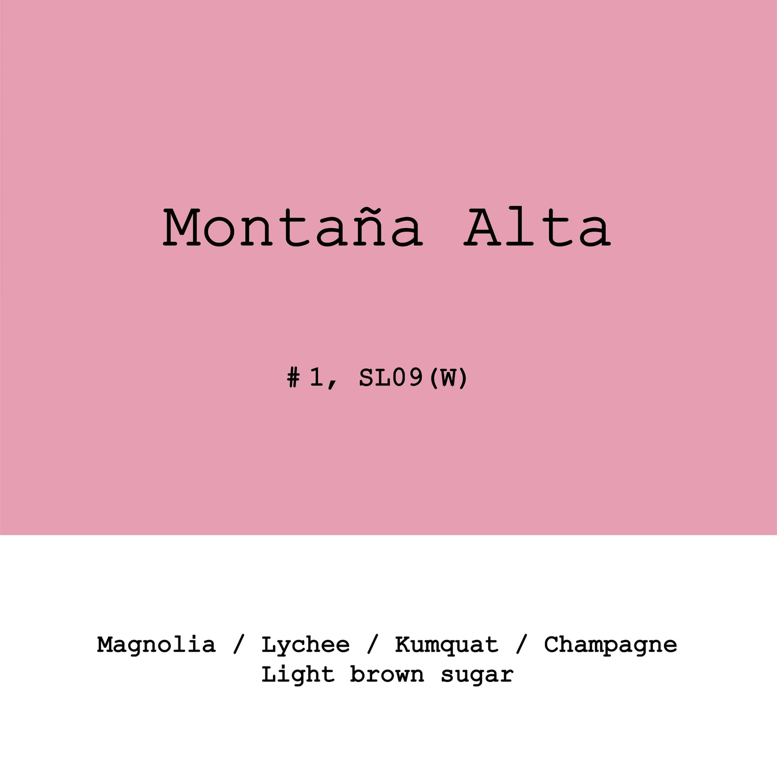 Goût & Co - Montaña Alta, SL09 Lot #1 Washed | Peru