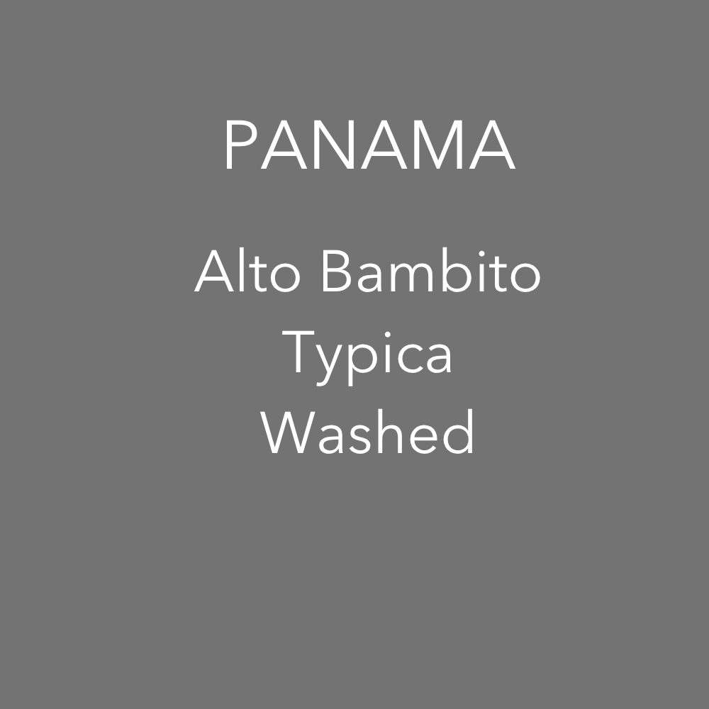 OMA - Alto Bambito, Washed Typica | Panama