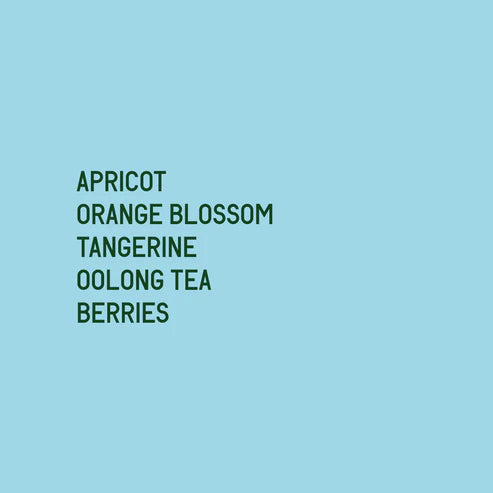 Datura | Gesha Village Oma 056 Natural