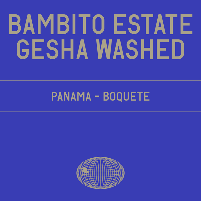 Datura | Bambito Estate Gesha Washed (100g) - Sigma Coffee UK