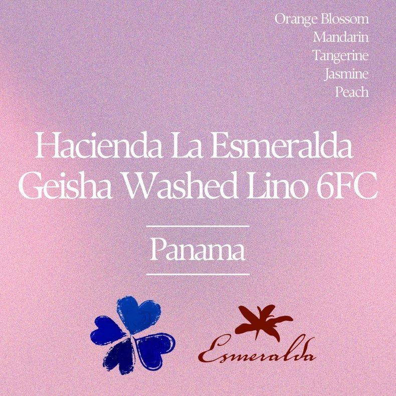 Klover - Hacienda La Esmeralda Lino 6FC Gehsa Washed | Panama