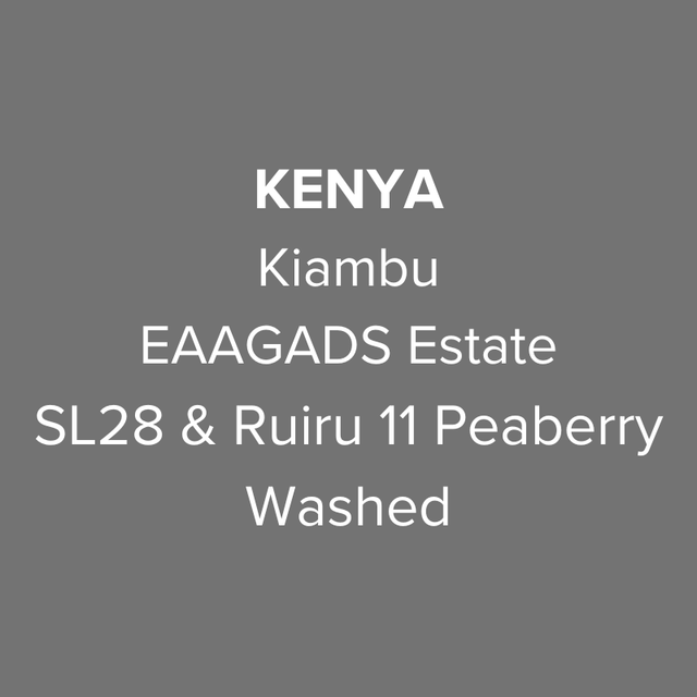 OMA - EAAGADS Estate, SL28 & Ruiru 11 Peaberry Washed | Kenya - Sigma Coffee UK