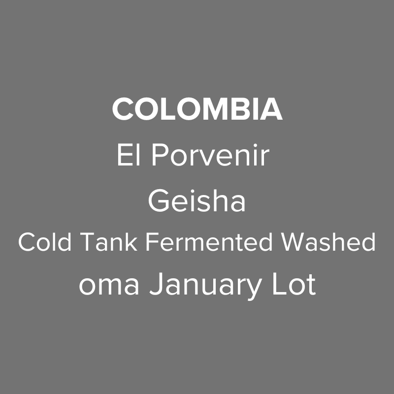 OMA - El Porvenir, Geisha Cold Tank Fermented Washed | Colombia - Sigma Coffee UK