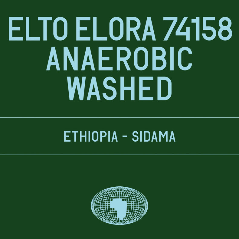 Datura Coffee - Elto Coffee Elora Station 74158 Anaerobic Washed | Ethiopia