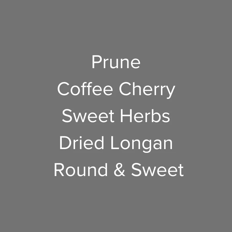 OMA - Finca Hartmann - Red Maragogipe Natural | Panama