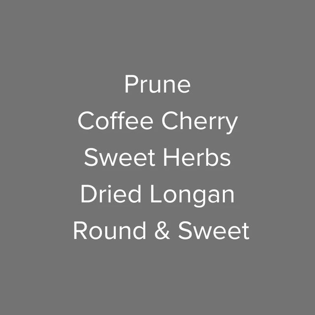 OMA - Finca Hartmann - Red Maragogipe Natural | Panama