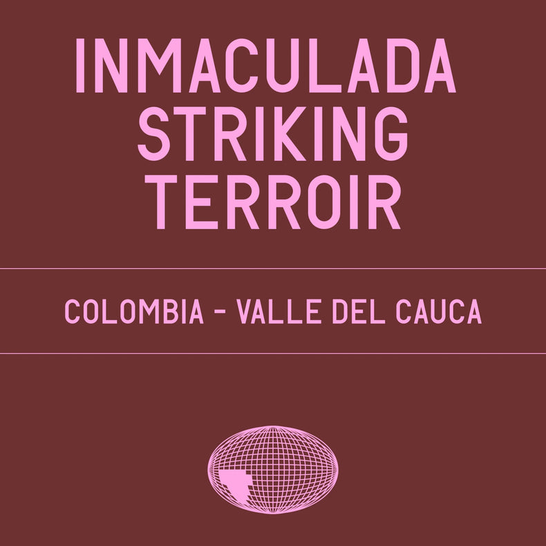 Datura Coffee - Inmaculada Striking Terroir Gesha Natural - Nitrogen Flushed | Colombia