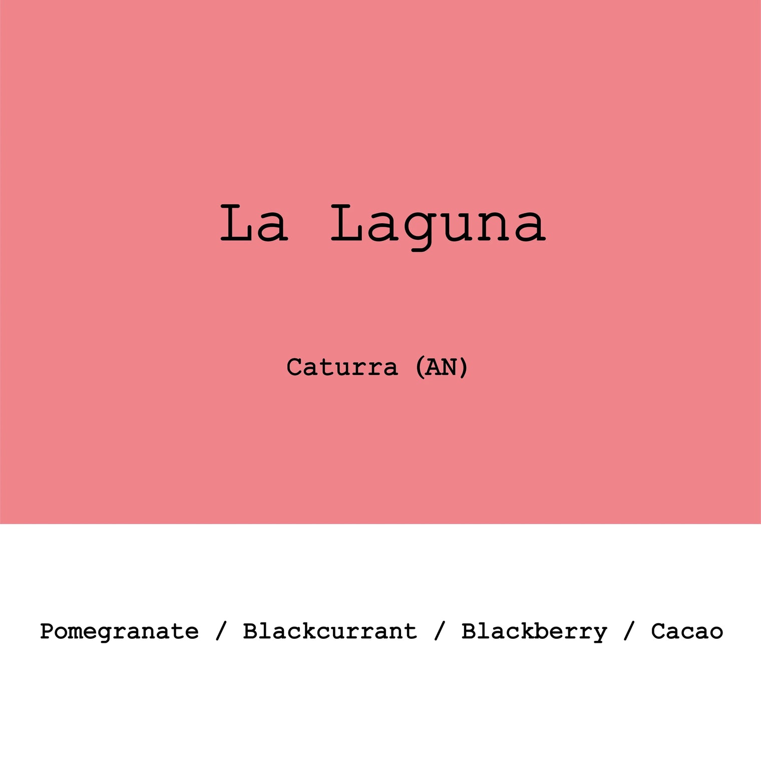 Goût & Co - Costa Rica - La Laguna, Anaerobic Natural Caturra - Sigma Coffee UK