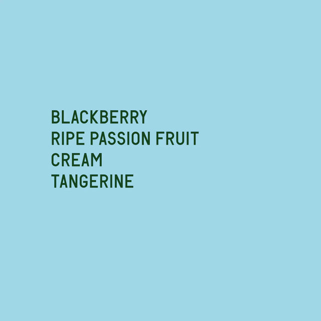 Datura | Elto Songo 74158 (200g)