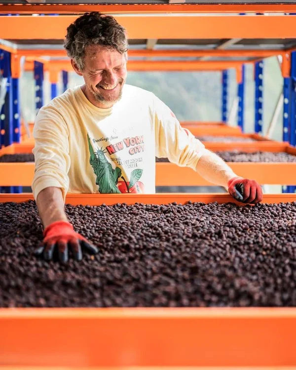 September - Pepe Jijón - Ty-oxy Washed (Late Harvest)