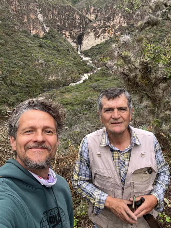 Flower Child - Pepe Jijon Mejorado