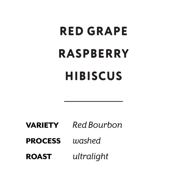 H&S Coffee Roasters - Mikuba 8 Washed Red Bourbon | Burundi