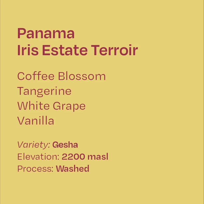 Helm Coffee Roasters - Iris Estate Terroir Washed Gesha | Panama