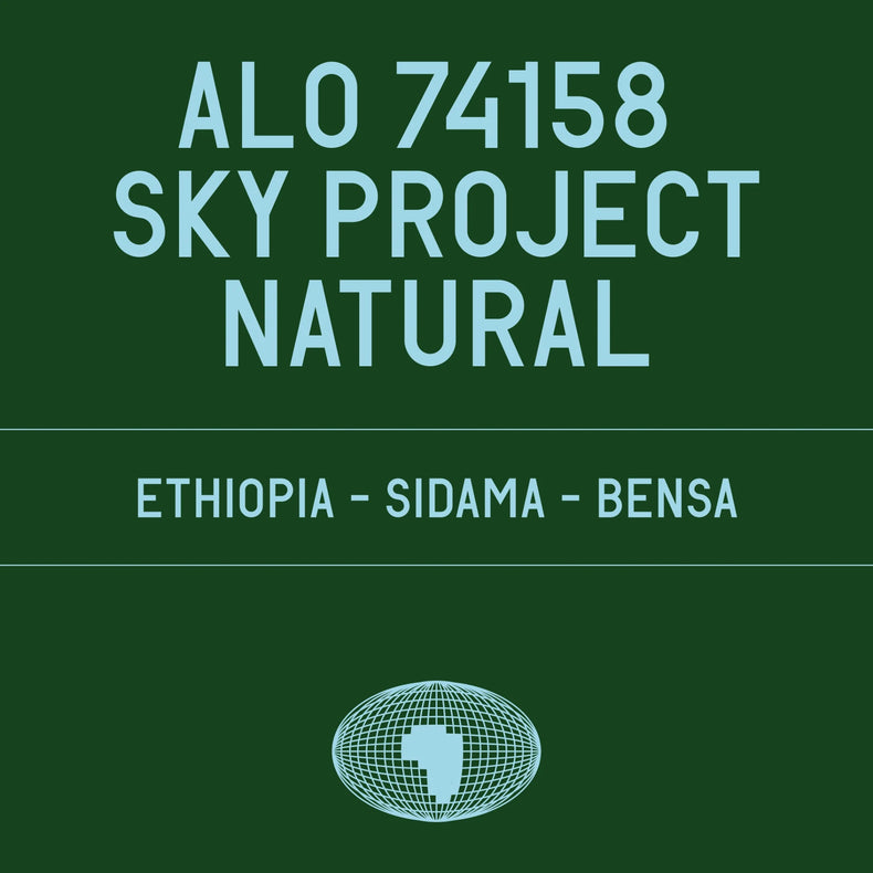 Datura Coffee - Alo 74158 Sky Project Natural | Ethiopia