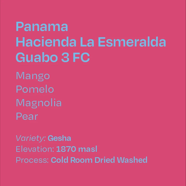Helm Coffee Roasters - Hacienda La Esmeralda Guabo 3 FC Gesha | Panama