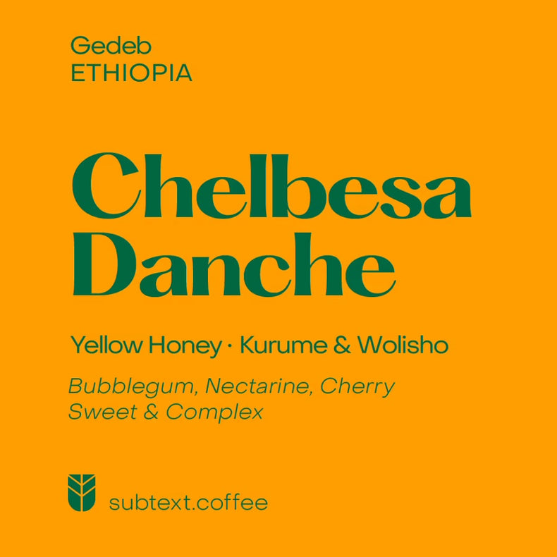 Subtext Coffee - Chelbesa Danche Kurume & Wolisho Yellow Honey | Ethiopia