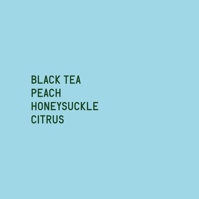 Datura Coffee - Guji Shakisso Hadeso JARC varieties - Local Landraces Fully Washed