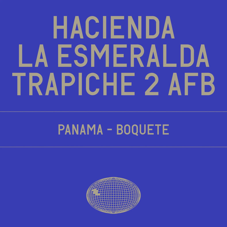 Datura Coffee - Hacienda La Esmeralda Trapiche 2 AFB Gesha Washed