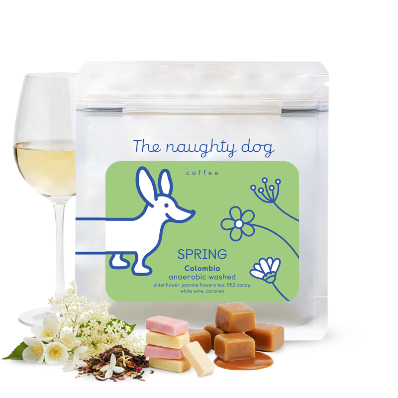 The Naughty Dog - Spring - Sigma Coffee UK