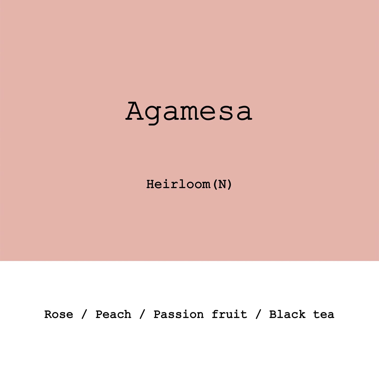 Goût & Co - Ethiopia Agamesa, Heirloom Natural G1 - Sigma Coffee UK