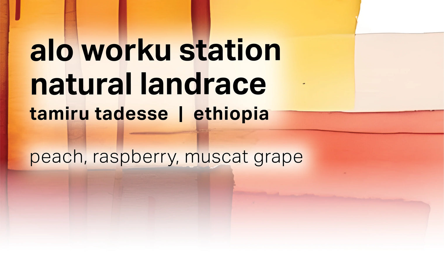 Moonwake - Alo Worku Station - Natural Landrace
