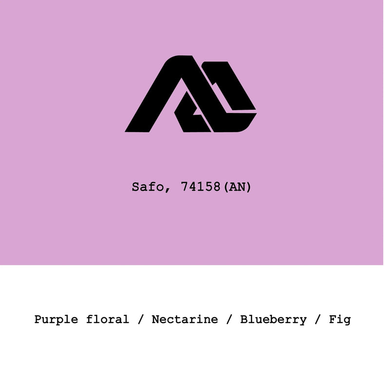 Goût & Co - Alo Safo 74158 24h Spring Cold Anaerobic Natural | Ethiopia
