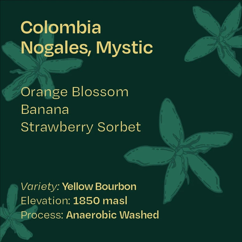 Helm Coffee Roasters - Los Nogales Mystic Anaerobic Washed Yellow Bourbon | Colombia
