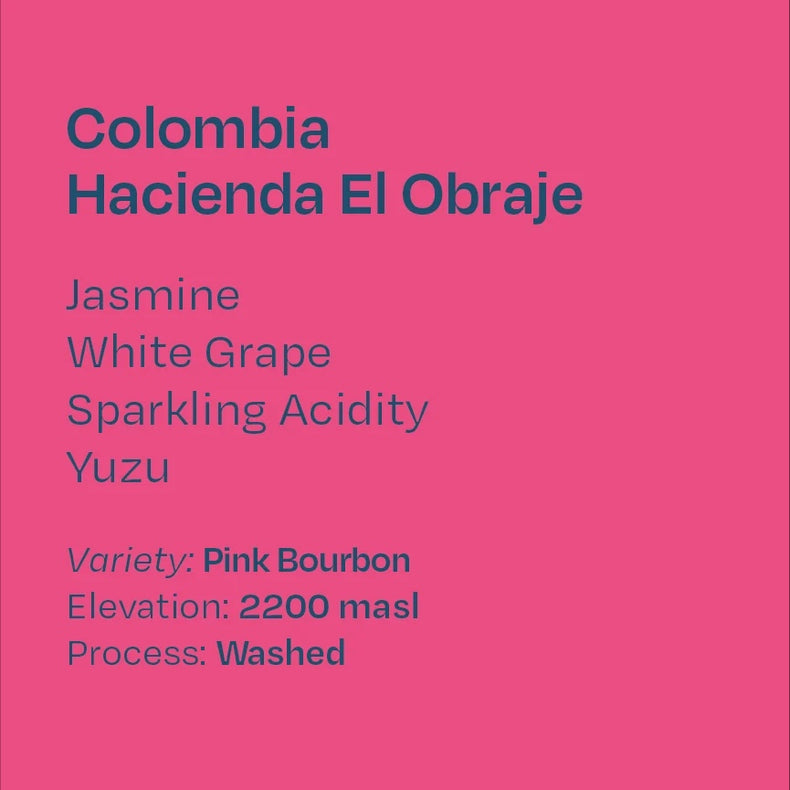 Helm Coffee Roasters - Hacienda El Obraje Washed Pink Bourbon | Colombia