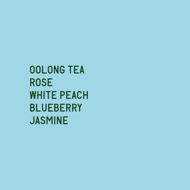 Datura Coffee - Gesha Village - Lot 26/126 Oma Washed