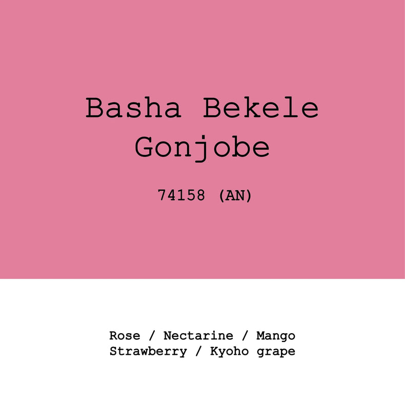 Goût & Co - Gonjobe 74158 Anaerobic Natural | Ethiopia