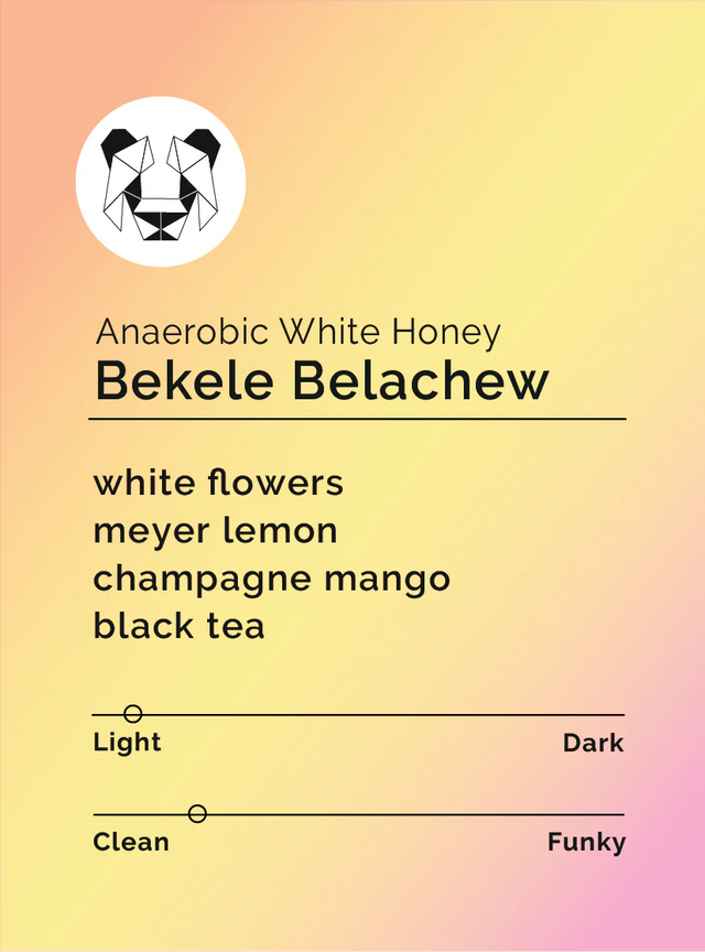 Black & White - Bekele Belachew - Anaerobic White Honey - Sigma Coffee UK
