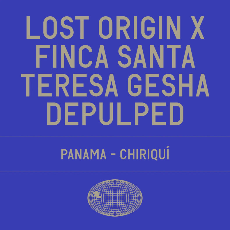 Datura Coffee - Lost Origin x Finca Santa Teresa Gesha Depulped | Panama