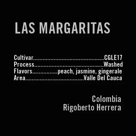 Apollon's Gold - Las Margaritas Washed CGLE17 | Colombia