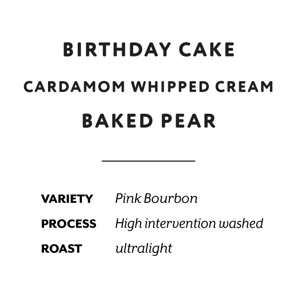 H&S Roasters - El Paraiso Birthday Cake | Colombia