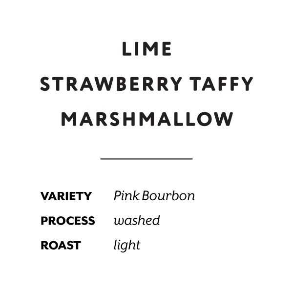 H&S Roasters - La Esperanza 2 Carlos, Washed Pink Bourbon | Colombia