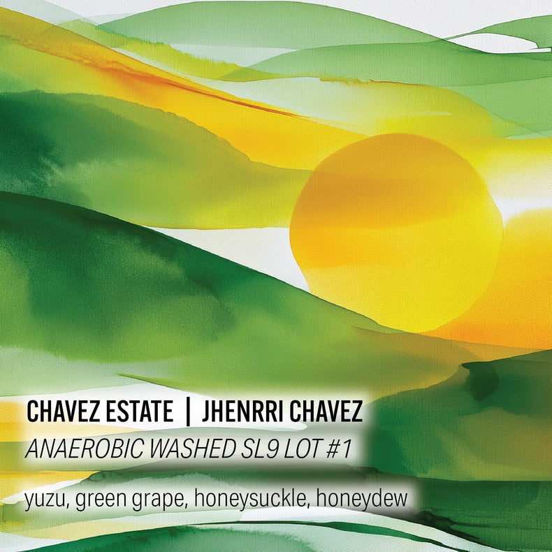 Moonwake Coffee Roasters - Chavez Estate Lot #1 - Jhenrri Chavez - Anaerobic Washed SL9 | Peru