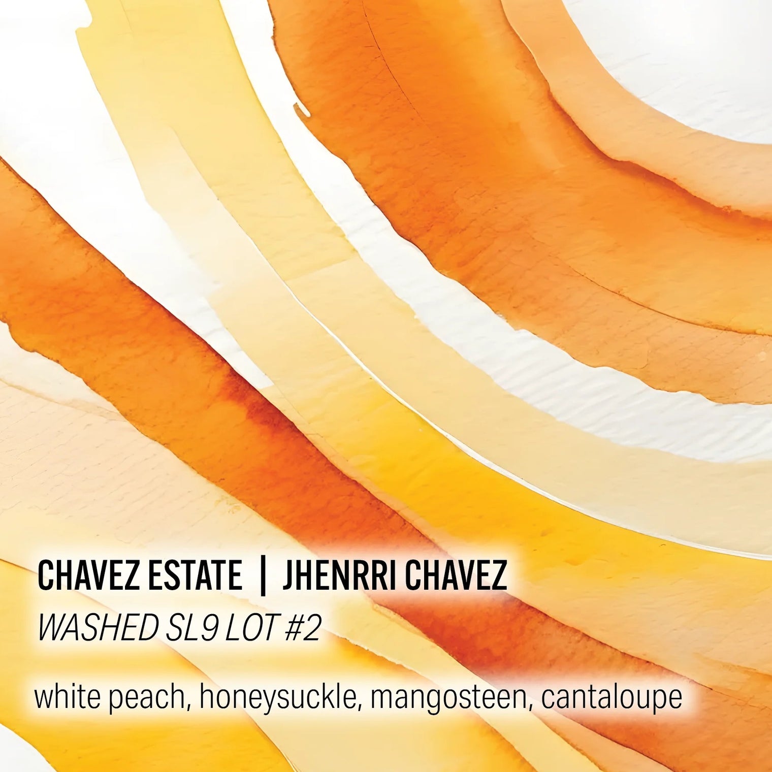 Moonwake - Chavez Estate, Jhenrri Chavez - Washed SL9 Lot#2 - Peru