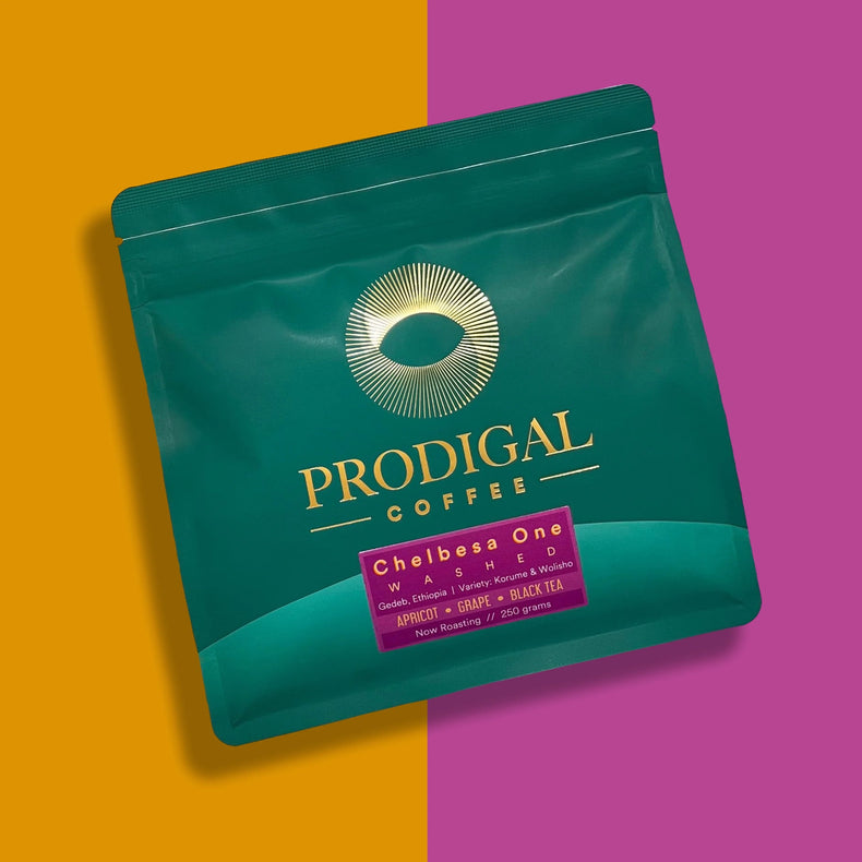 Prodigal Coffee - Chelbesa One | Ethiopia