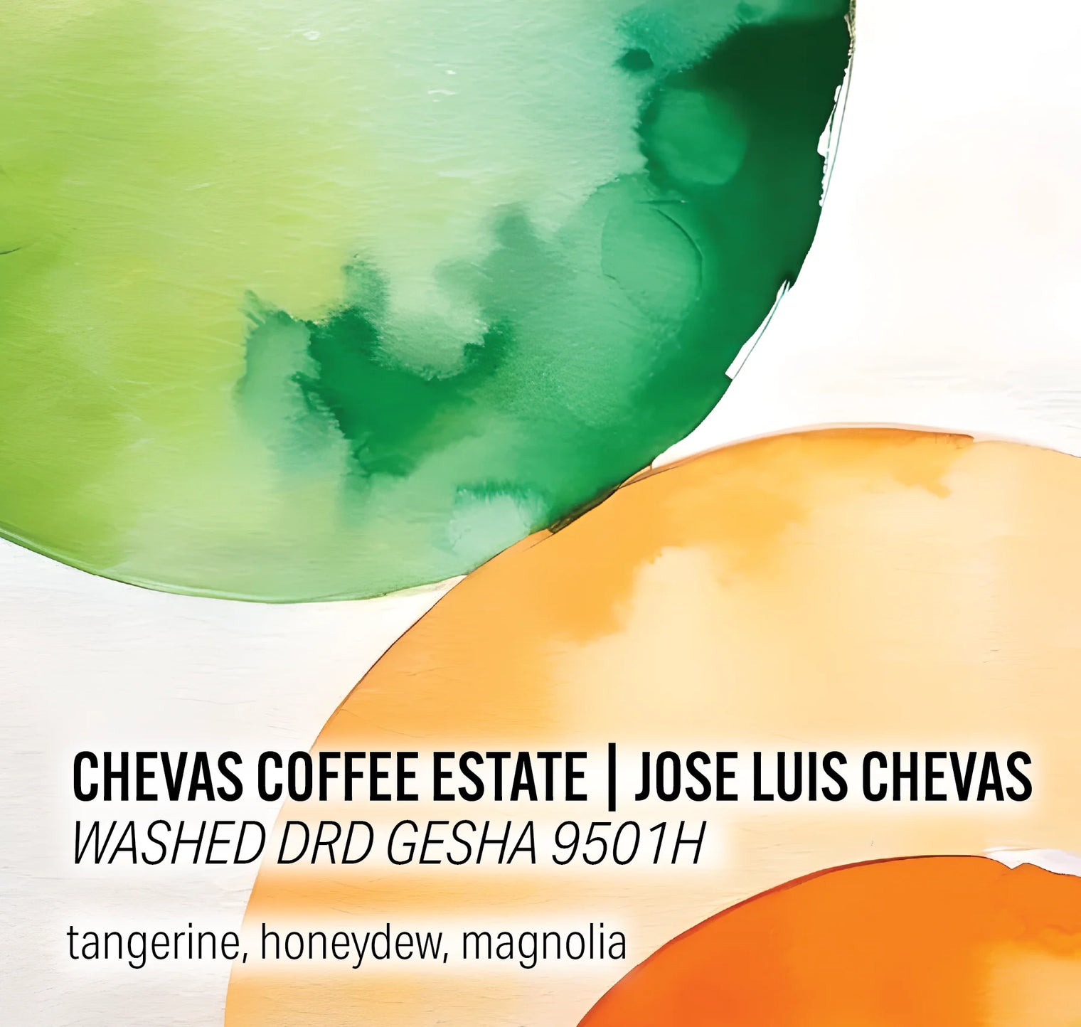 Moonwake - Chevas Coffee Estate - Washed DRD Gesha 9501H