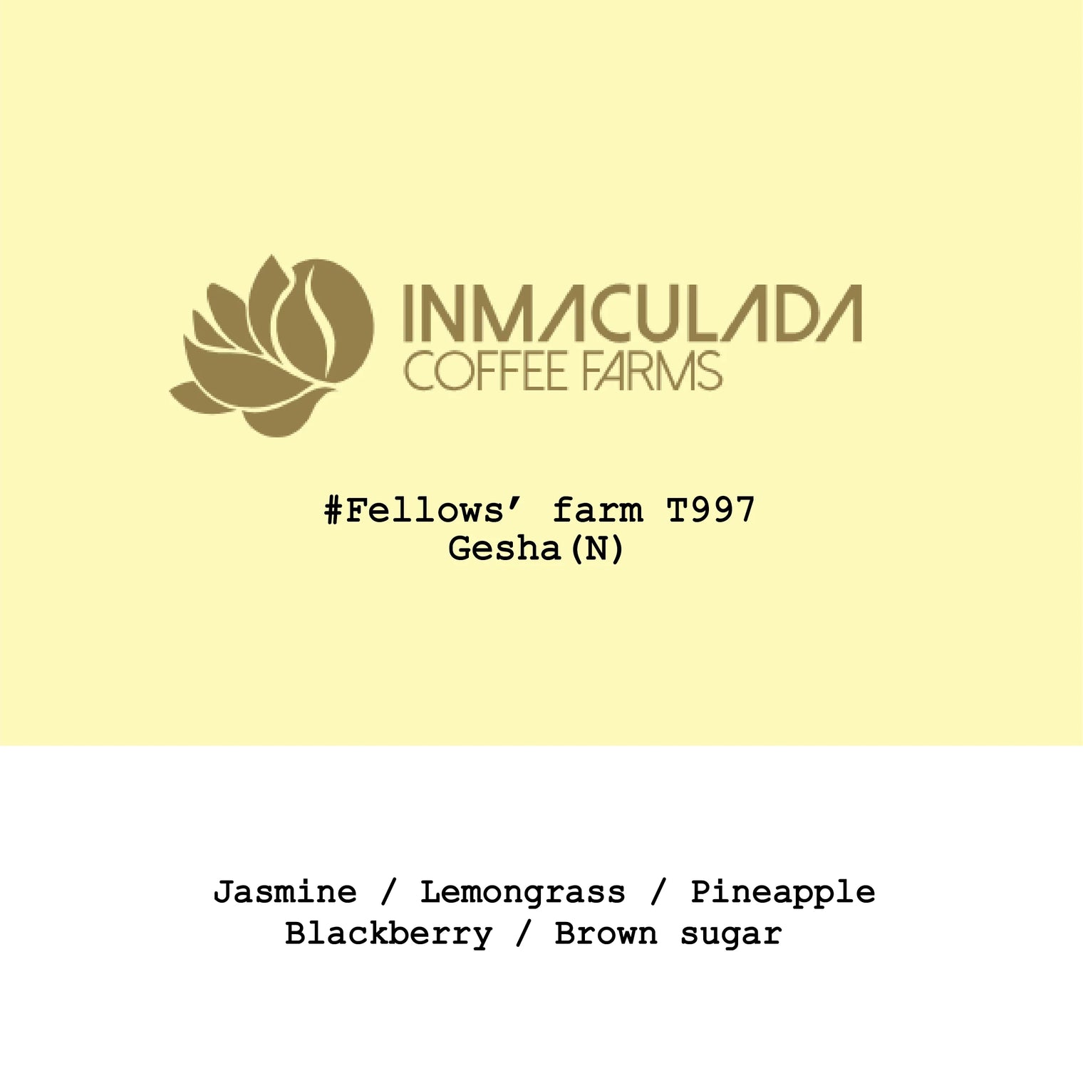 Goût & Co - Colombia Inmaculada Fellows' Farm Natural Gesha