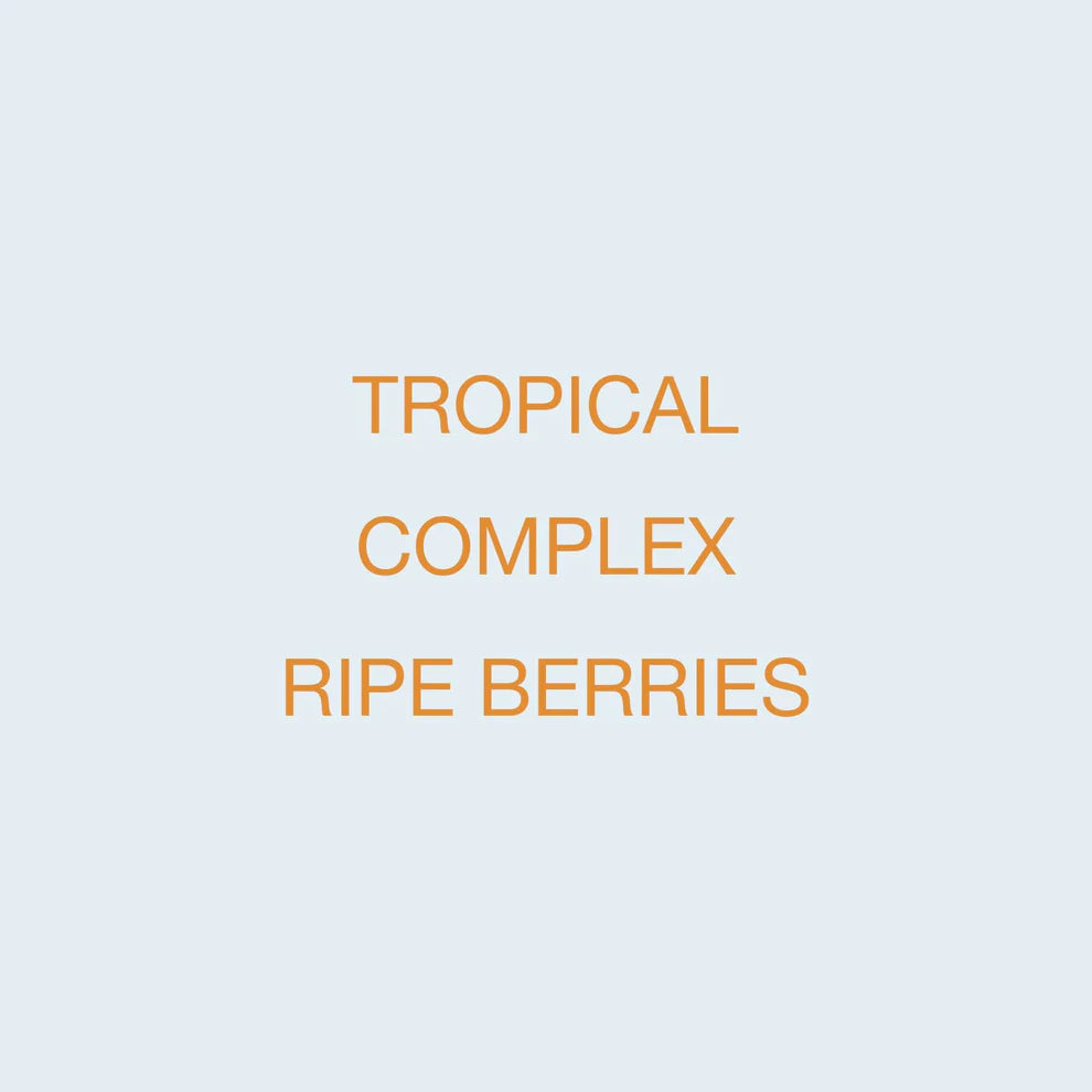 Koppi - Monte Copey La Mesa Black Wash Typica | Costa Rica - Sigma Coffee UK