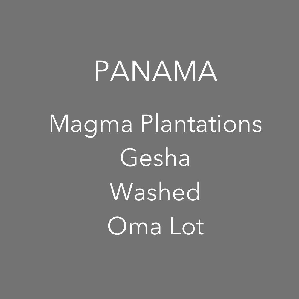 OMA - Magma Plantations, Cold Ferment Washed Oma Lot | Panama
