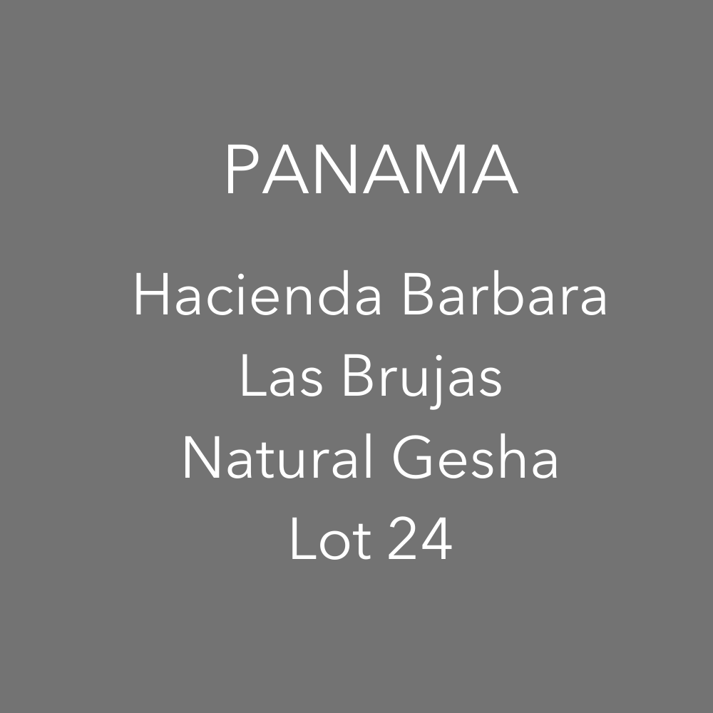 OMA - Hacienda Barbara, Los Brujos - Natural Gesha Lot 24 | Panama
