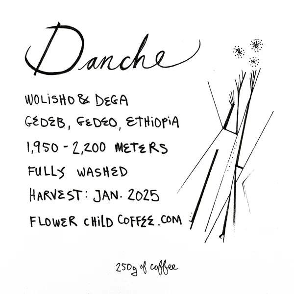 Coffee label for Danche from Gedeb, Gedeo, Ethiopia, featuring Wolisho and Dega varieties, 1,950–2,200 meters altitude, fully washed process, January 2025 harvest, Flower Child Coffee, with minimalist line-art illustration.