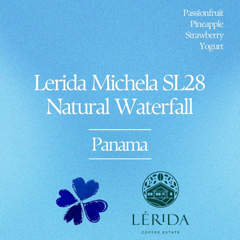 Klover - Lerida Michela SL28 Natural | Panama