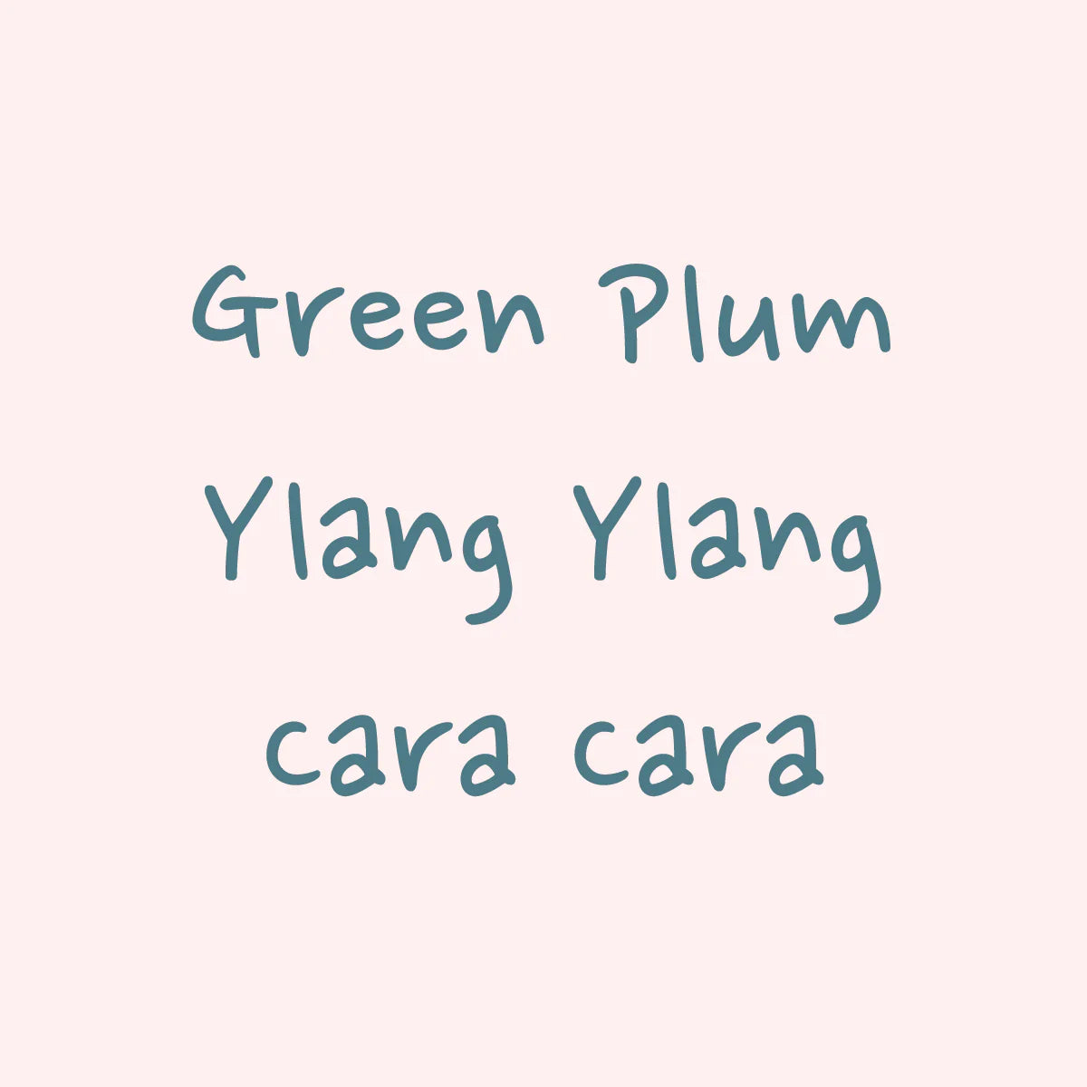 Hydrangea - Gesha Washed - Finca El Morito