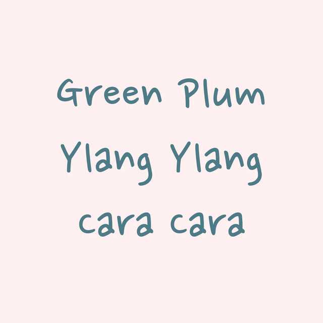 Hydrangea - Gesha Washed - Finca El Morito